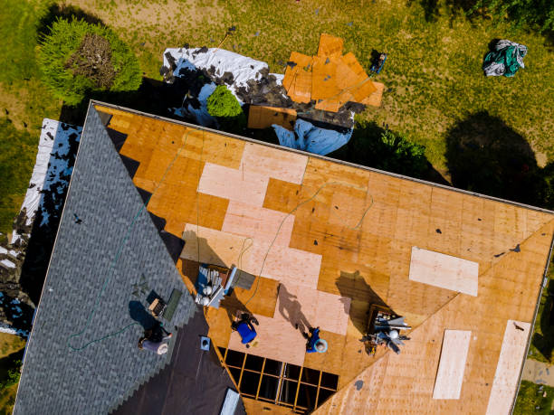 Best Roof Gutter Cleaning  in Carbondale, KS