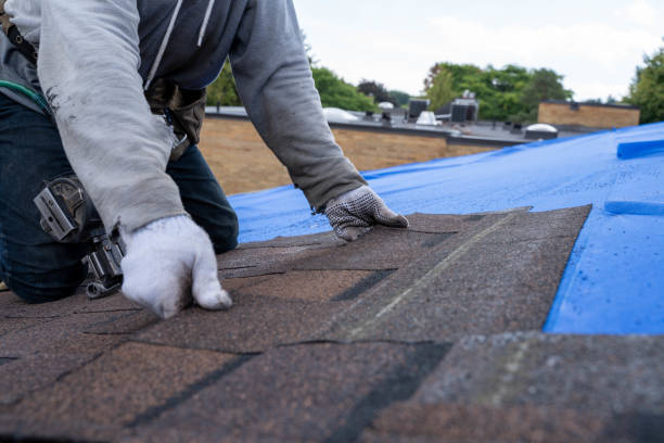 Best Roof Restoration Services  in Carbondale, KS