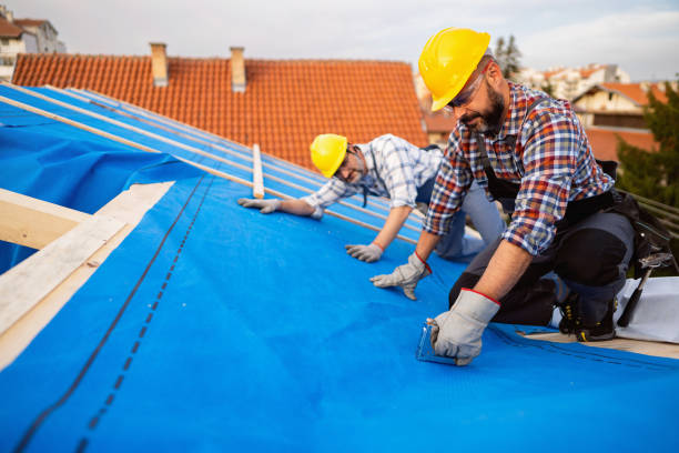 Best Metal Roofing Contractor  in Carbondale, KS