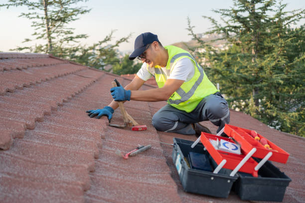 Best Storm Damage Roof Repair  in Carbondale, KS