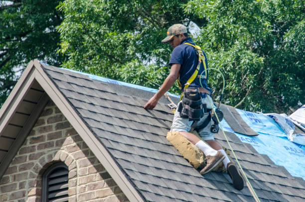 Best Roof Waterproofing Services  in Carbondale, KS